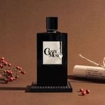 Wholesale 2025 Hot Selling Cologne Men Perfume High Quality 1:1 Brand Original Perfume Good Quality Fragrance