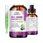 Custom Label Organic Vegan Seamoss Oil Drops Irish Sea Moss Liquid 2 oz in Glass Bottle Herbal Products Free Sample